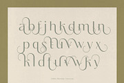 Tremella - Modern Branding Font, a Serif Font by creativemedialab (Thumbnail 6 of 10)
