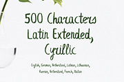 Leafy Extended Brush Font, a Script Font by Wild Ones (Thumbnail 2 of 8)