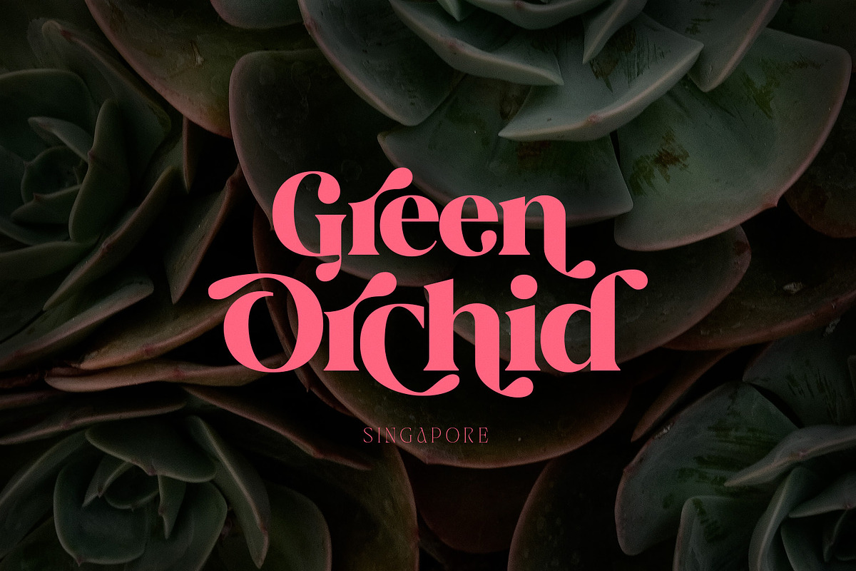 Jaella - Modern Serif Font, a Serif Font by creativemedialab (Photo 3 of 15)