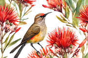 South African Sugarbird, an Animal Illustration by Karliefie (Thumbnail 3 of 8)