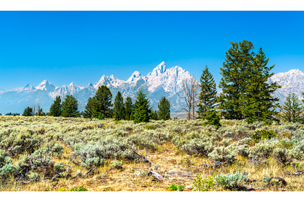 Grand Teton peaks over sagebrush, a Nature Photo by Leonid Andronov