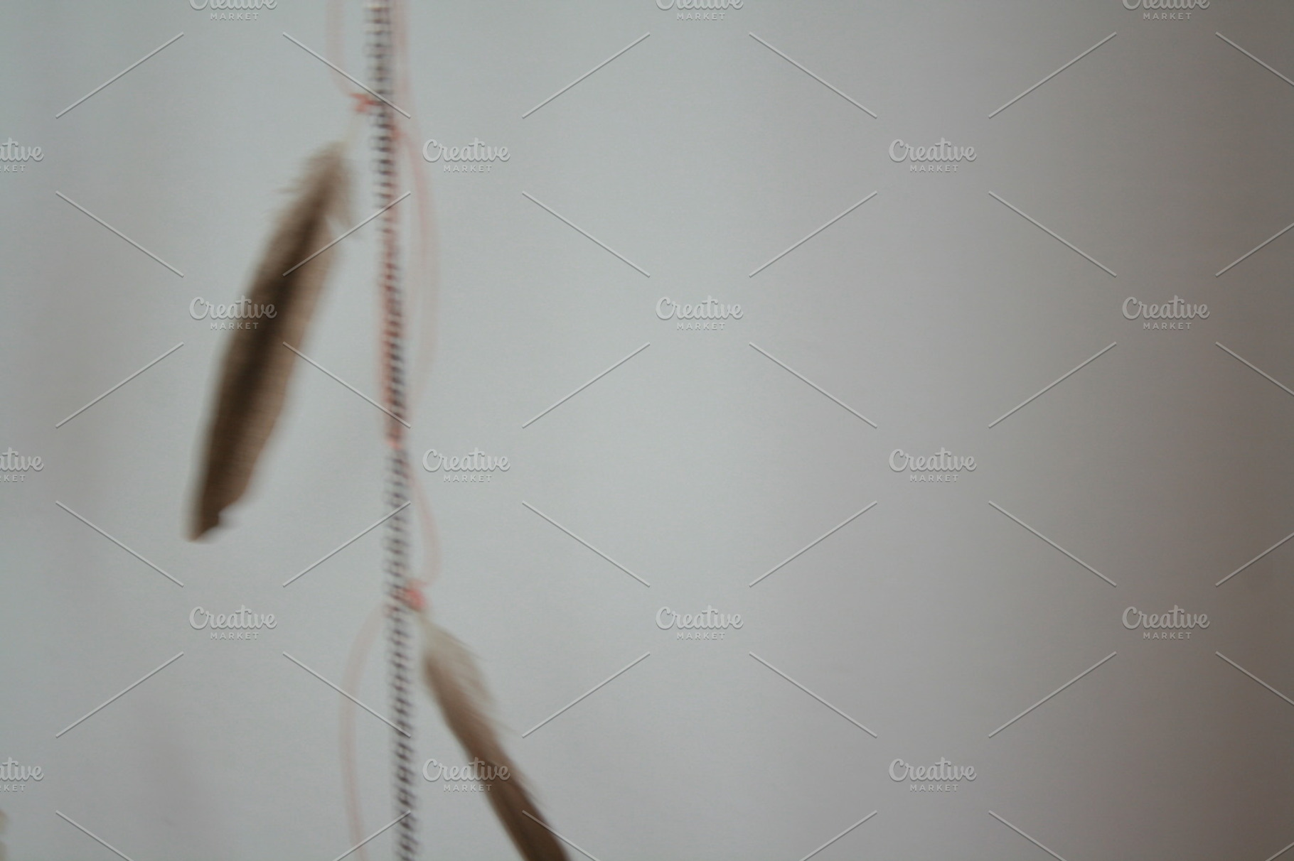 soft feathers