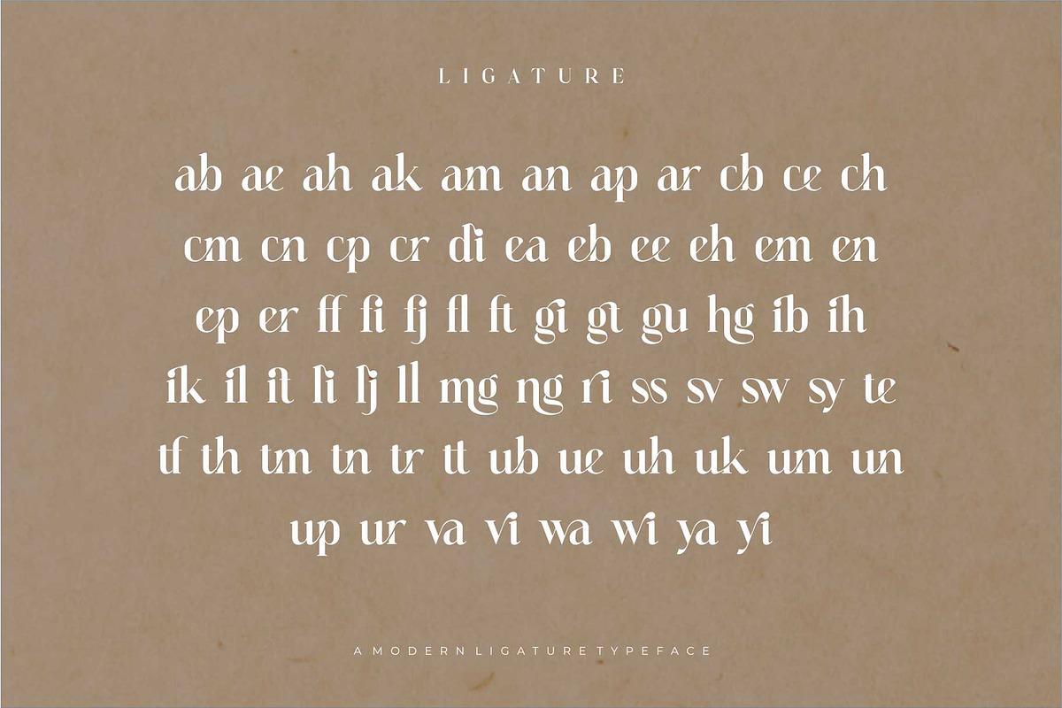 Vattea Villany Modern Serif Typeface, a Serif Font by Dylla_studio (Photo 10 of 10)