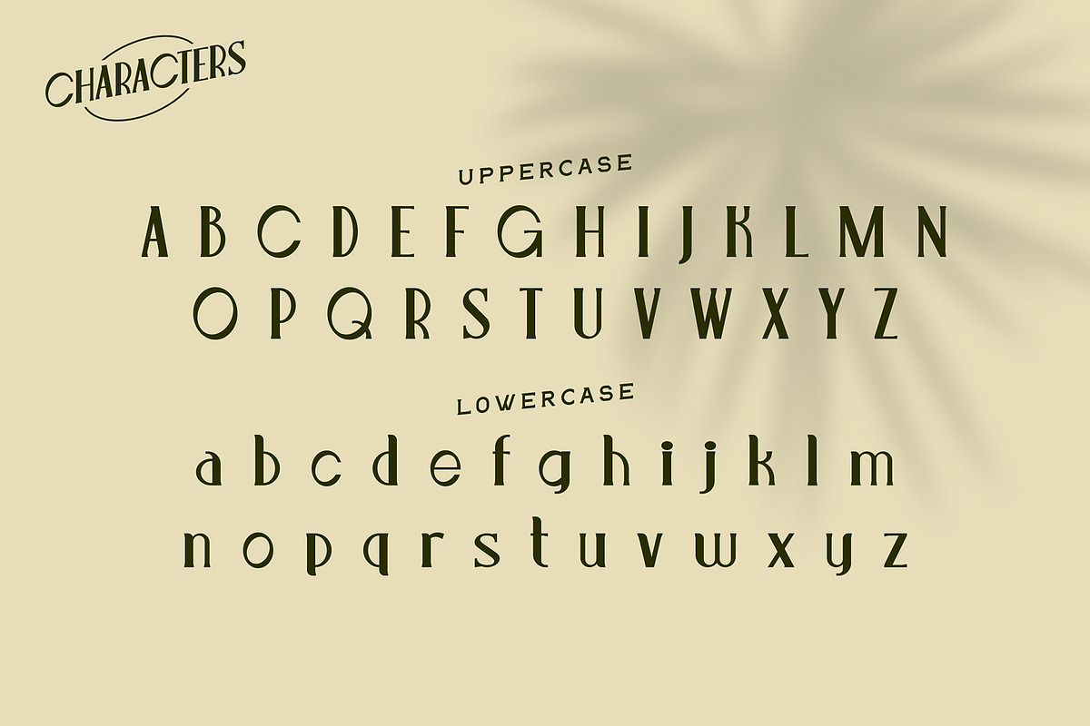 Leonis - Luxury Font, a Serif Font by Snape Design Studio (Photo 3 of 12)