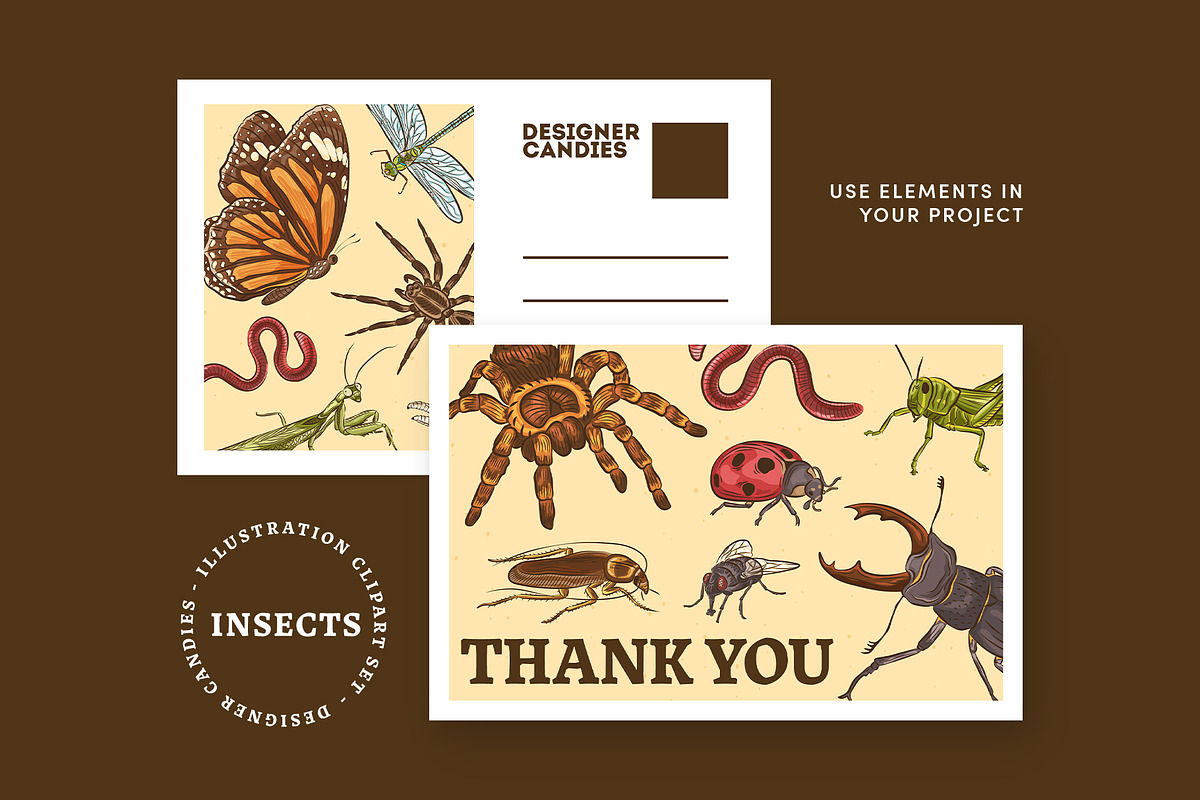 Insects Illustrations, an Object Graphic by DesignerCandies (Photo 2 of 4)