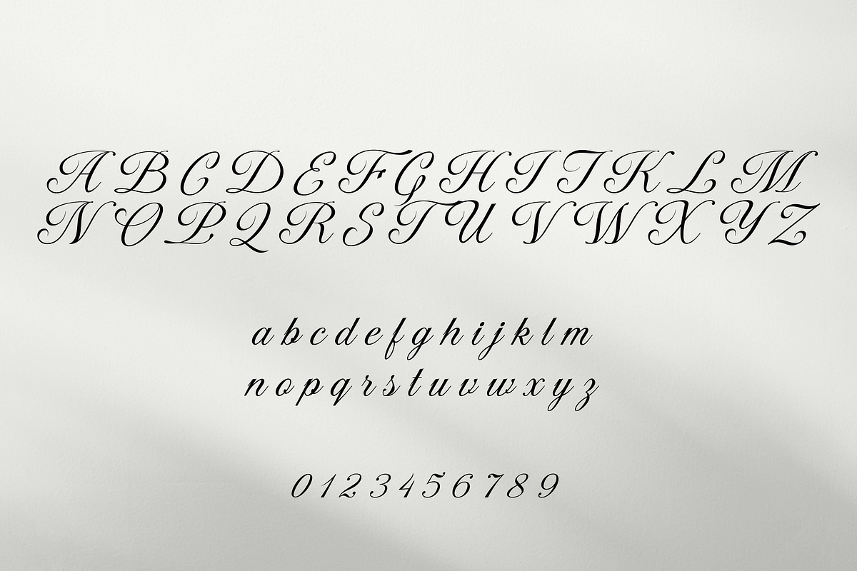 Macy Script, a Script Font by Creative Foundry (Photo 7 of 9)