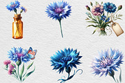 Watercolor Cornflower Clipart, an Illustration by Black Bird Studio (Thumbnail 4 of 6)