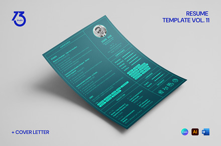 Resume Template Vol. 11