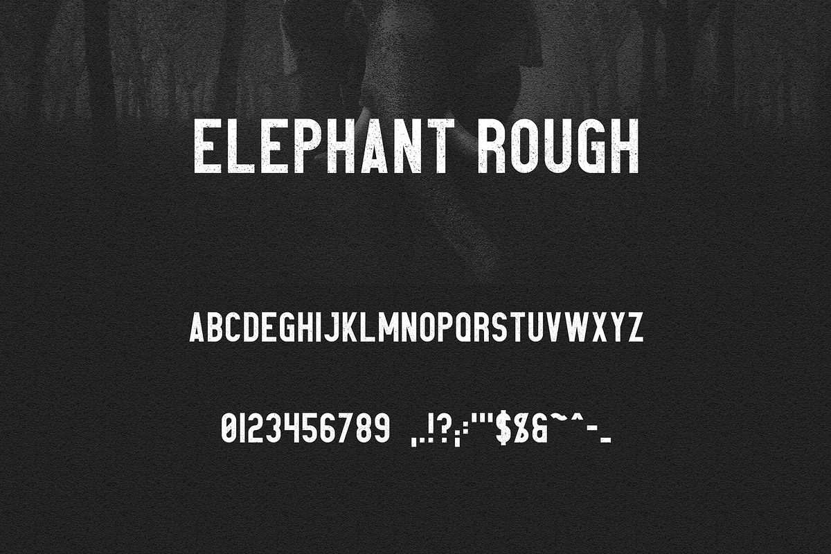 Elephant Font Family -50%, a Sans Serif Font by VP Fonts (Photo 9 of 14)