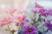 Spring Photoshop Actions, an Action Add-On by Bato (Thumbnail 11 of 16)