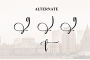 Vintage | Script Font, a Handwritten Font by Scratchones (Thumbnail 8 of 9)