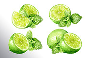 Lime citrus. Watercolor collection, a Food Illustration by Daria Ustiugova (Thumbnail 4 of 21)
