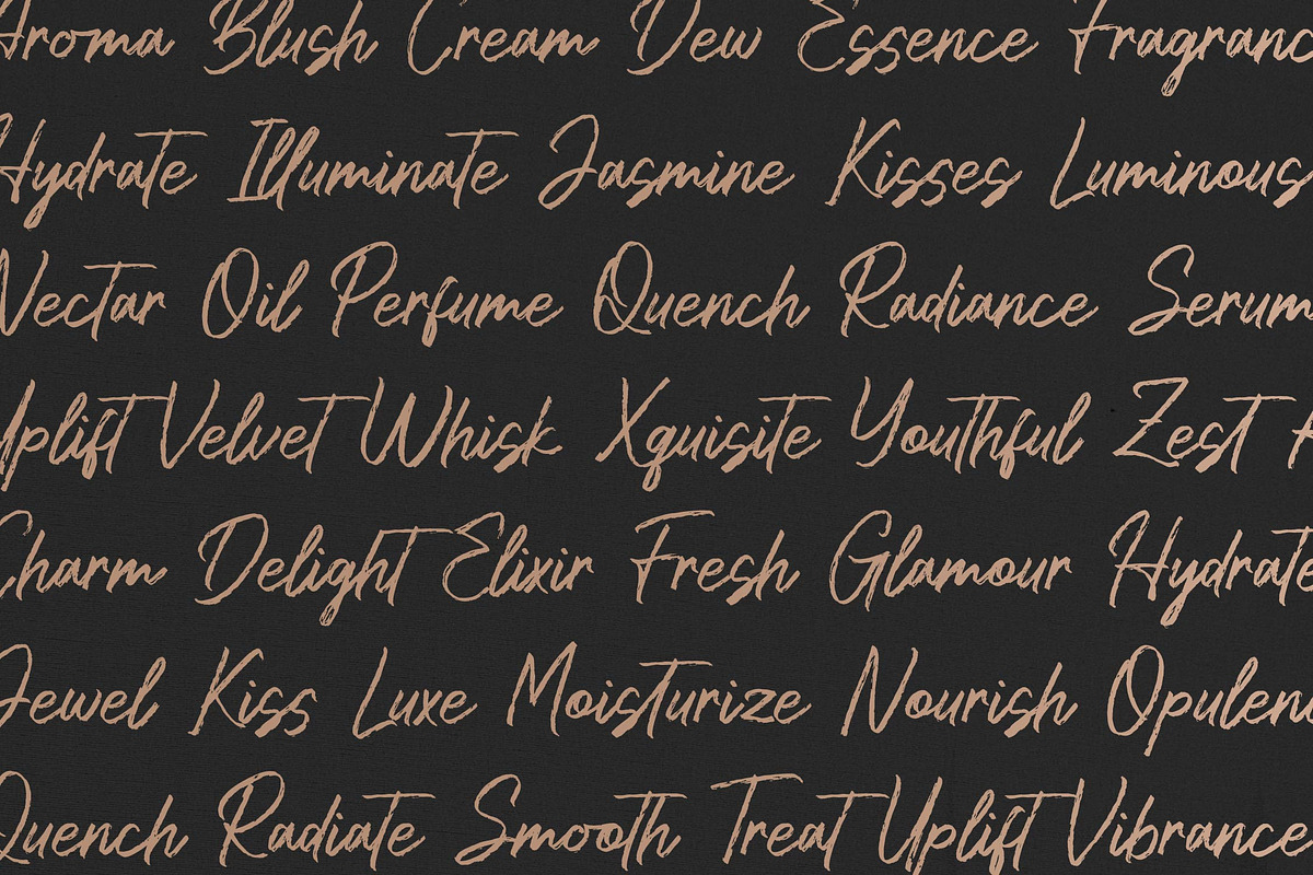 Leneora Seraphine Brush Handwritten, a Script Font by Denustudios (Photo 10 of 15)