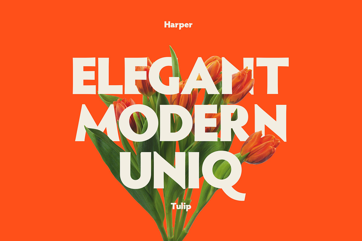 Harper Sans Serif Font, a Sans Serif Font by Ryan Rivaldo Vierra (Photo 3 of 10)