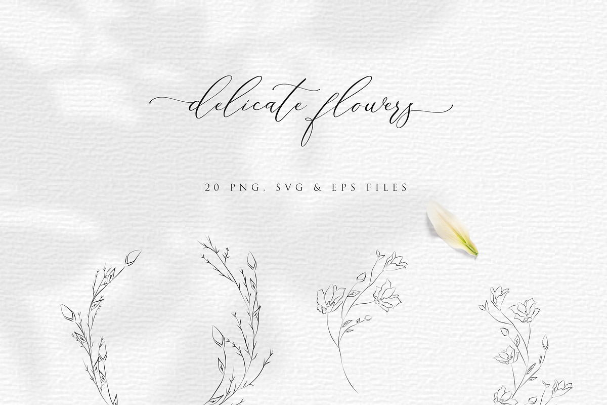 Line Drawing Botanical Wreaths, an Illustration by Olya Creative (Photo 2 of 4)