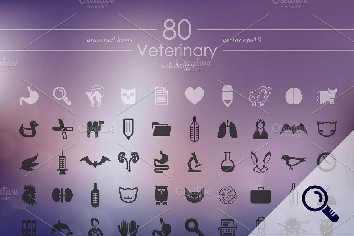 80 VETERINARY icons, a Templates & Theme by Palau (Photo 1 of 4)