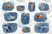 Underwater world watercolor collecti, an Animal Illustration by IrynaPanashii (Thumbnail 5 of 16)