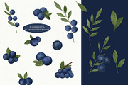 Blueberries watercolor clipart, a Food Illustration by Illustrations by Yuliia (Thumbnail 2 of 4)