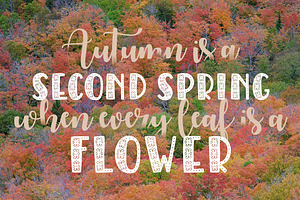 Autumn Spice Display San Serif Font