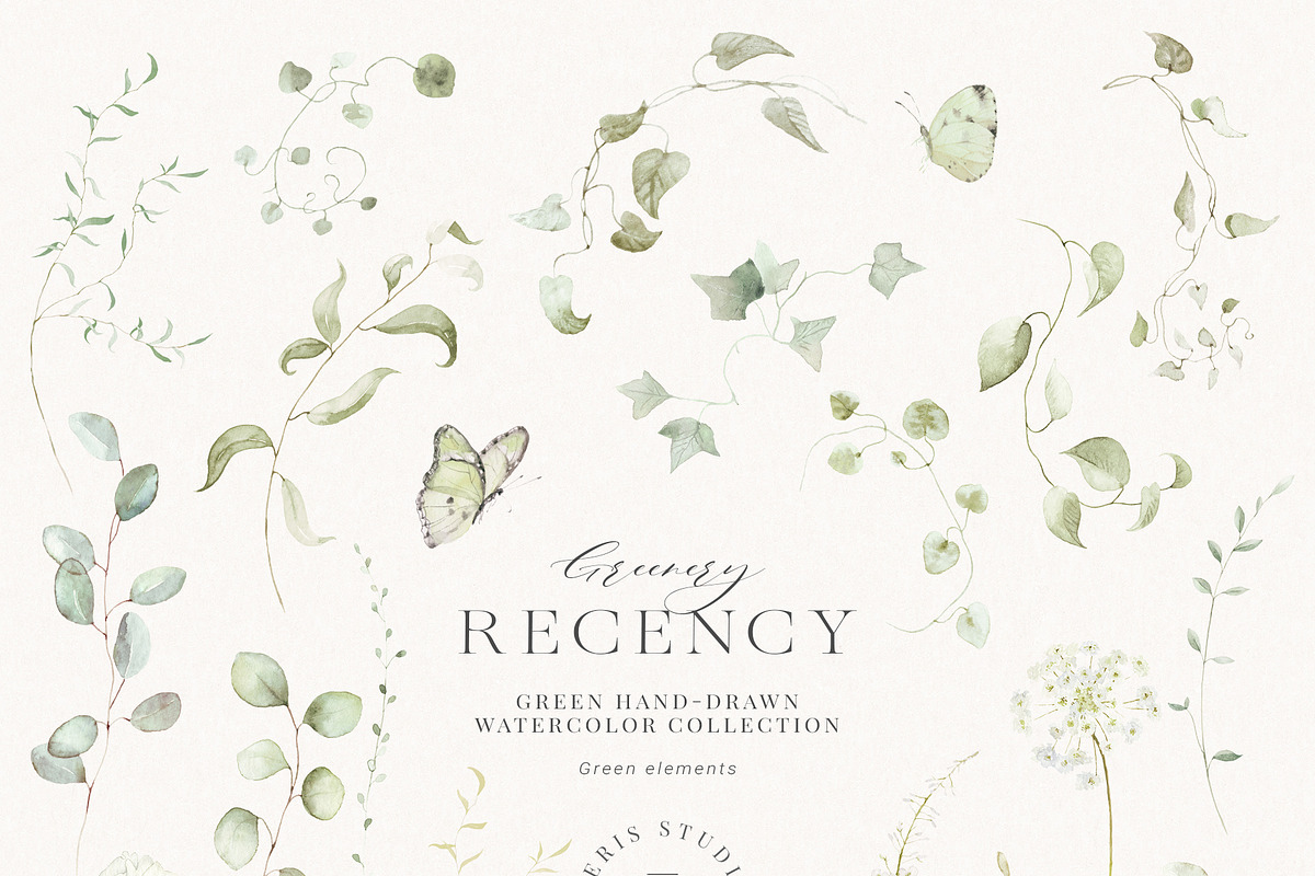 Watercolor Floral Green Ivy Leaf Set, a Decorative Illustration by Veris Studio (Photo 13 of 15)