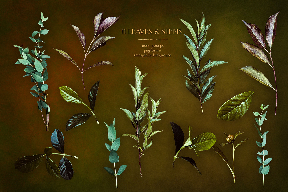 Sunset Floral Art Collection, an Object Graphic by Eclectic Anthology (Photo 17 of 20)
