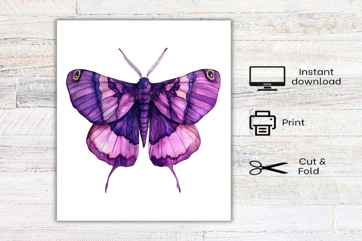 Watercolor Night Moths Clipart, an Illustration by Canvas Craft (Photo 8 of 8)