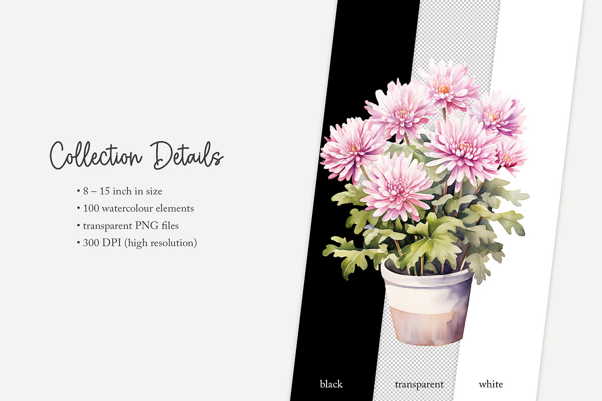 100 watercolor house plants clip art, a Seasonal Illustration by Poppy Lane Studio (Photo 12 of 12)