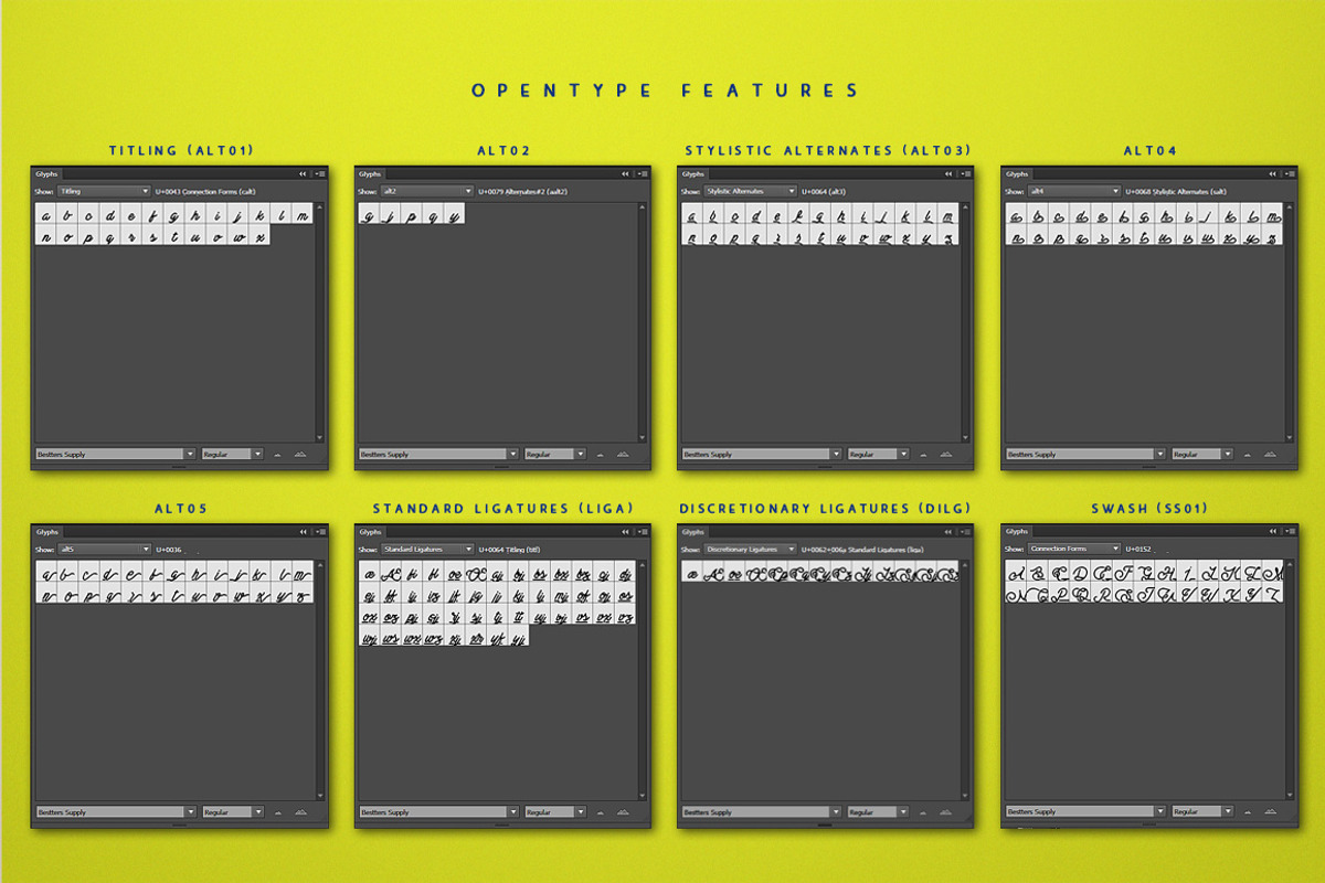 Bestters Supply, a Script Font by Burntilldead (Photo 7 of 8)