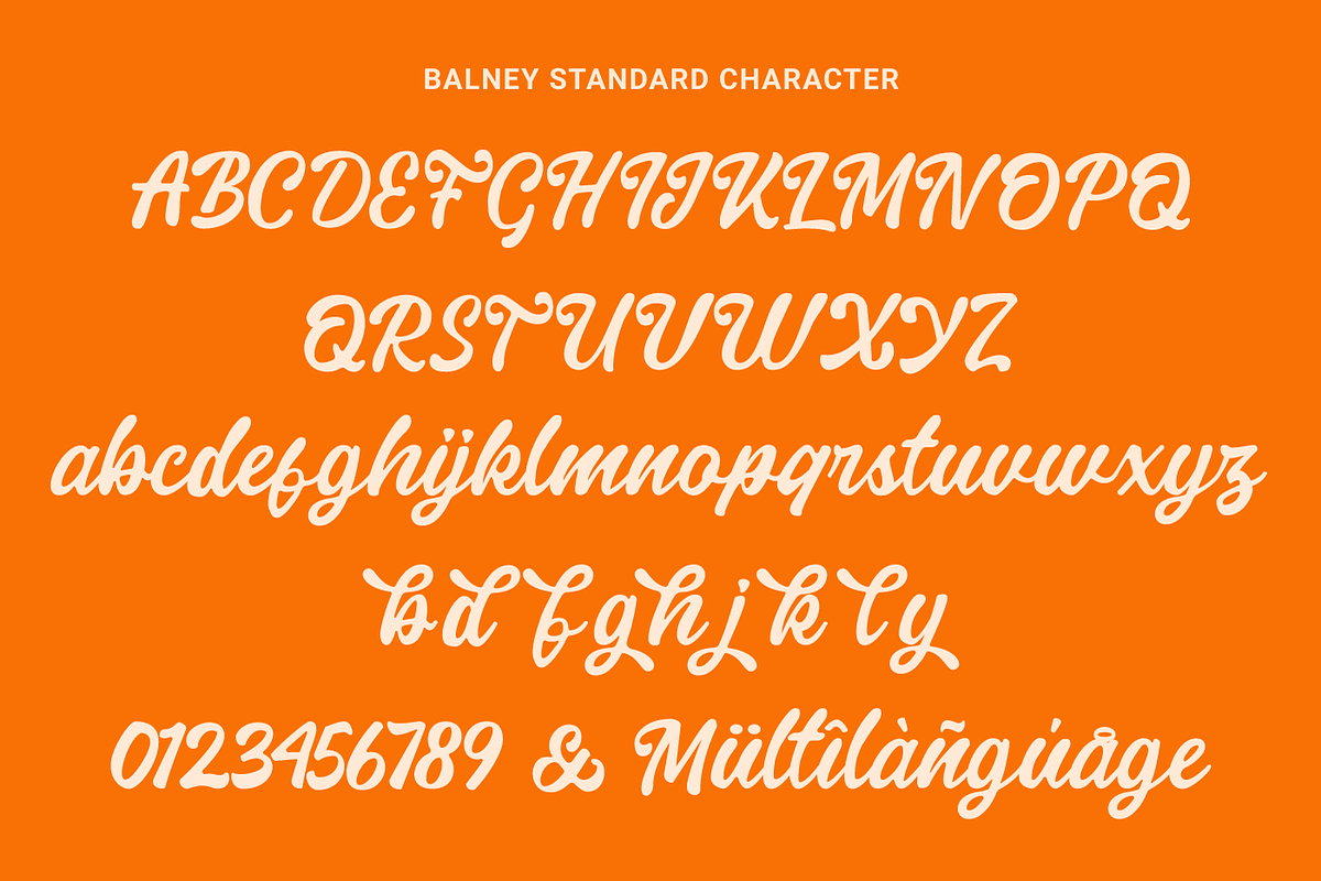 Balney - Rounded Script Font, a Script Font by Zarma Type (Photo 5 of 10)