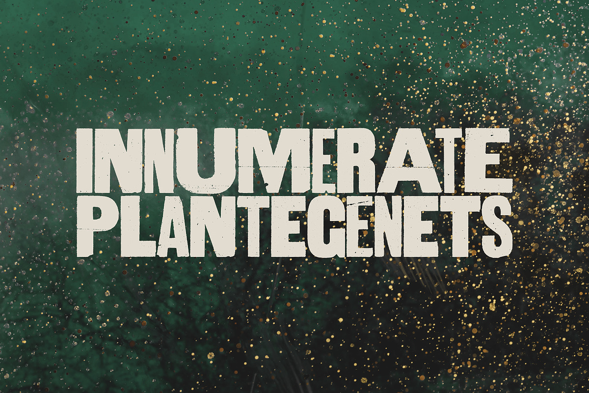 Aurochs: letterpress type family, a Sans Serif Font by Polymath (Photo 6 of 12)