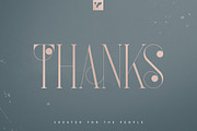 French Typeface - 4 fonts, a Serif Font by VP Fonts (Thumbnail 9 of 9)