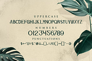 Qimaxo font, a Serif Font by VectorCraft (Thumbnail 3 of 4)