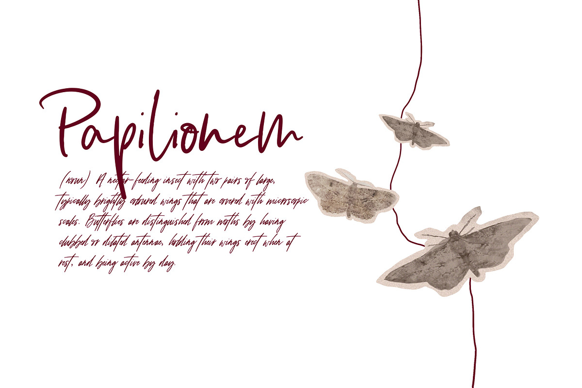 Illumination | Script Font preview 2