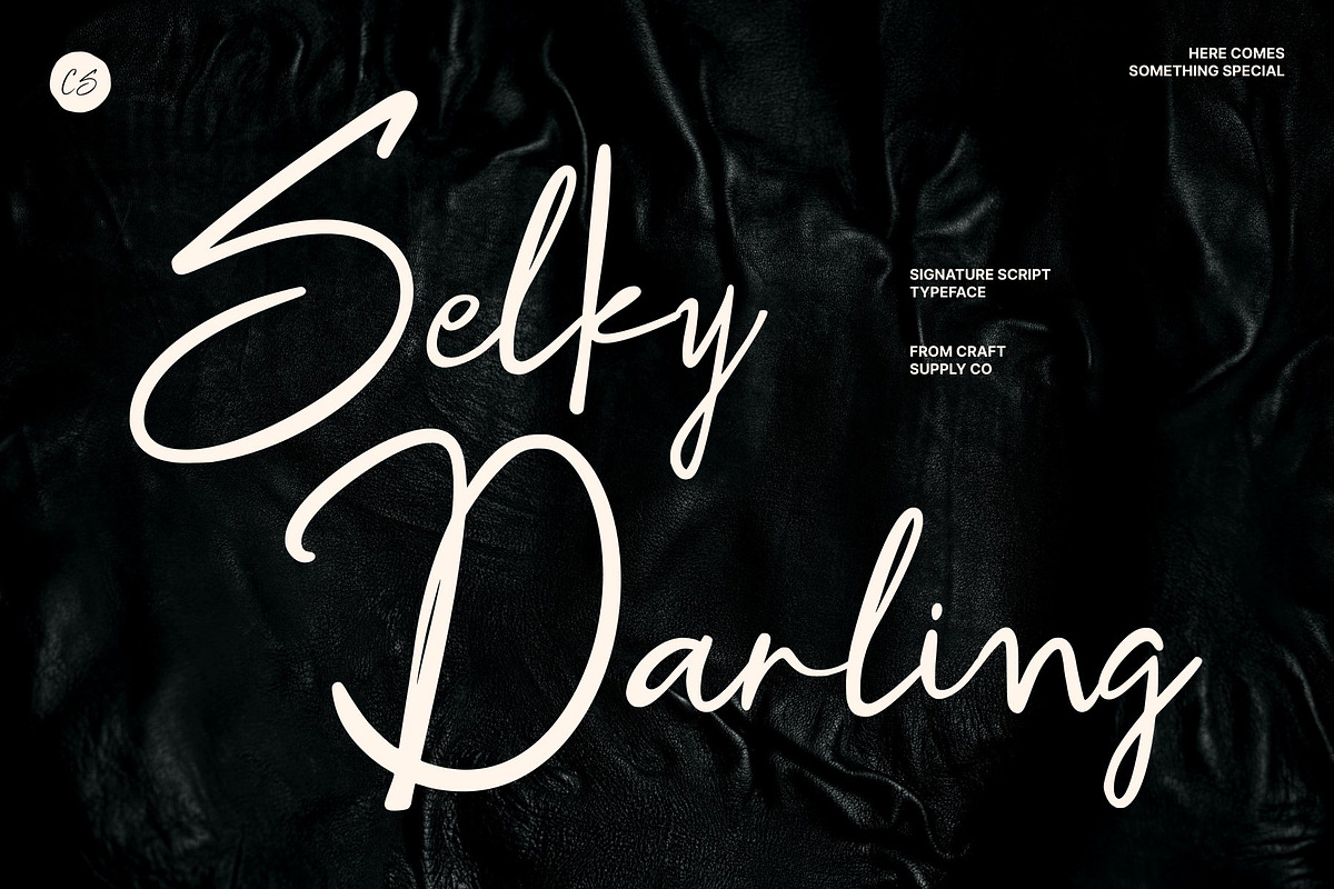 CS Selky - Signature Script Font, a Script Font by Craft Supply Co. (Photo 1 of 8)