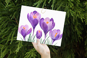 Watercolor Crocuses Clipart, an Illustration by Libby Wishes (Thumbnail 4 of 7)