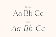 Sangarius // A Chic Serif Typeface, a Serif Font by Megs Lang (Thumbnail 6 of 15)