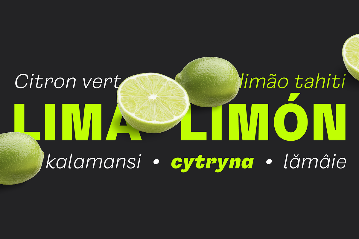 Gintona Sans, a Font by Sudtipos (Photo 6 of 11)