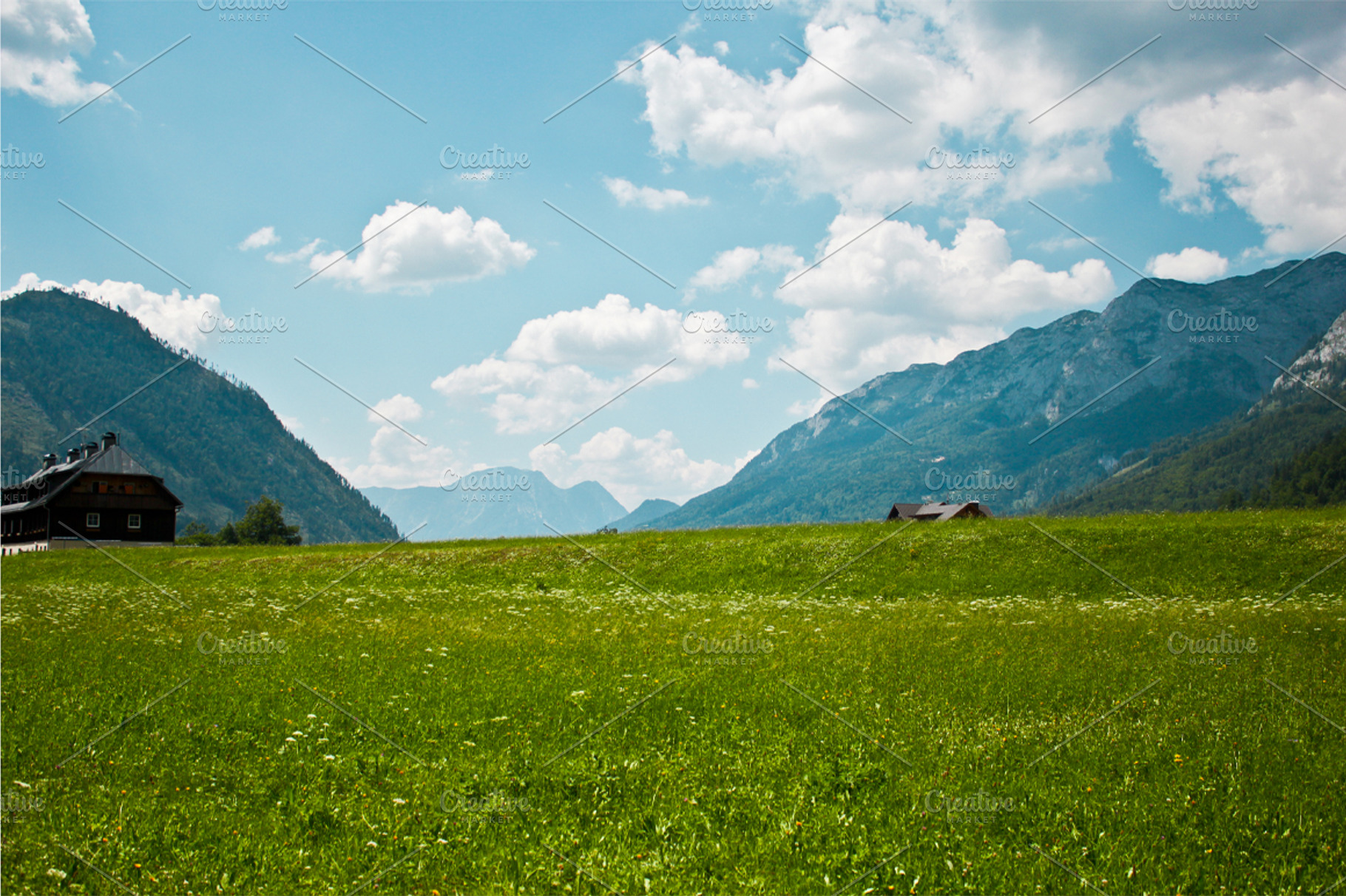 Alpine Landscape. Austria.