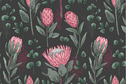 Protea flowers and eucalyptus sketch, an Illustration by irina.vaneeva (Thumbnail 8 of 12)
