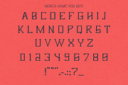Arachnid by Eric Pond Designs, a Serif Font by Eric Pond Designs (Thumbnail 3 of 3)