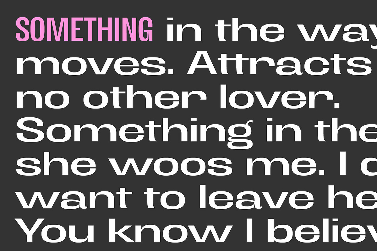 Antipoda, a Sans Serif Font by Sudtipos (Photo 8 of 11)