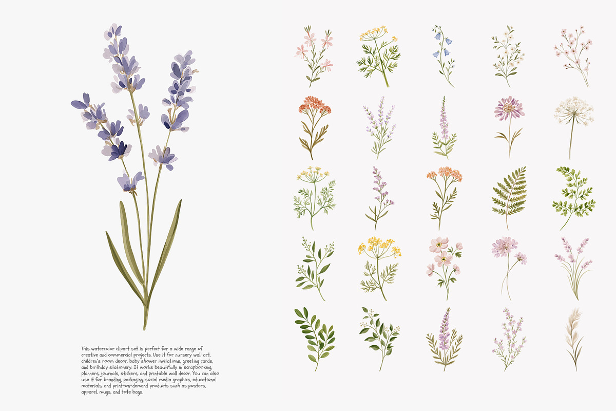 a wildflower meadow clipart set, a Decorative Illustration by Patishop Art (Photo 5 of 12)