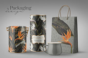 Bird of Paradise patterns, a Pattern Graphic by Bigio Designs (Thumbnail 2 of 7)