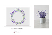 Lavender Watercolor Clipart, an Object Illustration by CaraulanStore (Thumbnail 6 of 9)