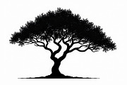 Wild Forest Tree Clipart Set, an Illustration by balal (Thumbnail 13 of 20)