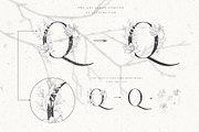 Botanical Alphabet & Monograms., a Decorative Illustration by Designwork (Thumbnail 5 of 18)