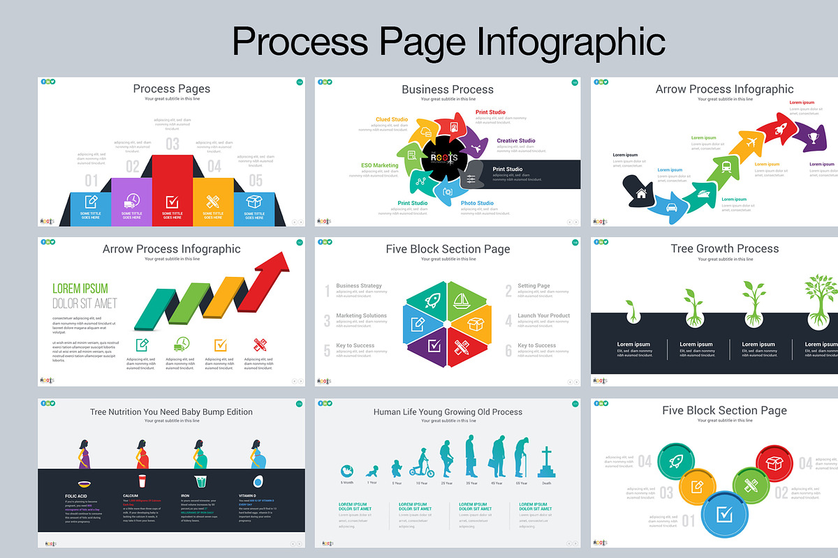 Roots Presentation Template, a Presentation Template by PixWork (Photo 19 of 51)