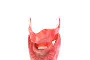 Human internal organs, a Characters & Person 3D Model by konstantin.ermolaev (Thumbnail 9 of 46)