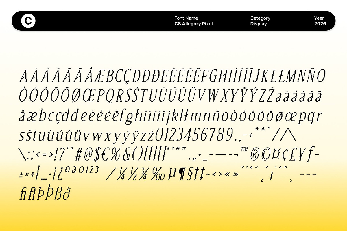 CS Allegory Pixel, a Serif Font by Craft Supply Co. (Photo 6 of 8)