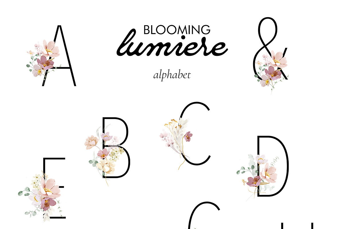 Lumiere - Rose & Cream Florals, an Illustration by Isabelle Salem (Photo 13 of 15)
